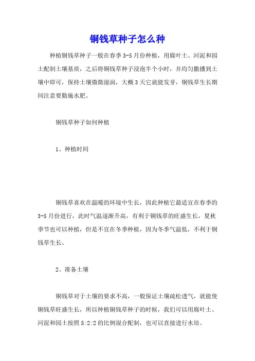 铜钱草种子怎么种