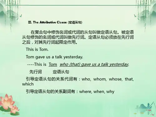 定语从句复习课件ppt