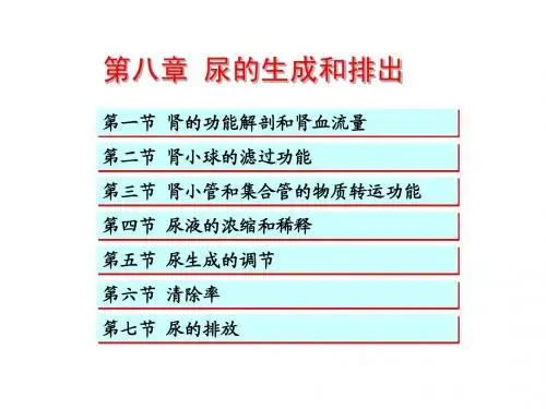 第八章 肾脏的排泄功能