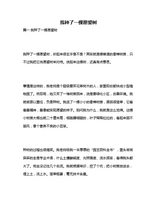 作文《我种了一棵愿望树》