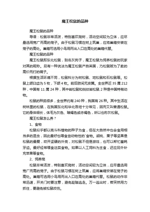 魔王松鼠的品种