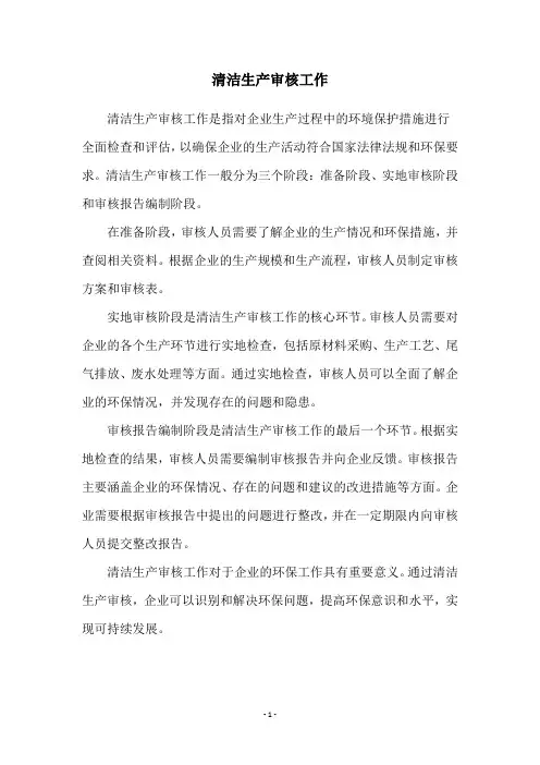 清洁生产审核工作