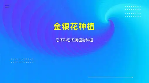 金银花种植 
