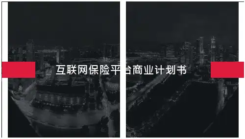 互联网保险项目计划书1
