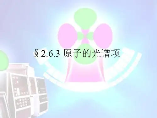 2.6.3 原子的光谱项