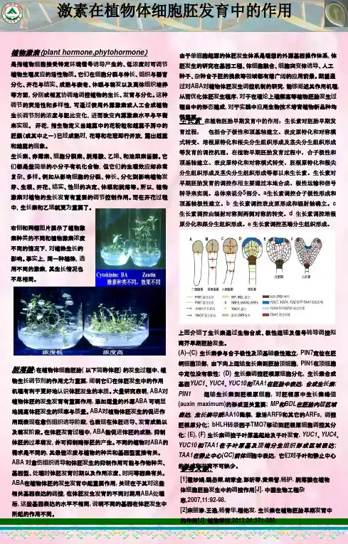 植物激素