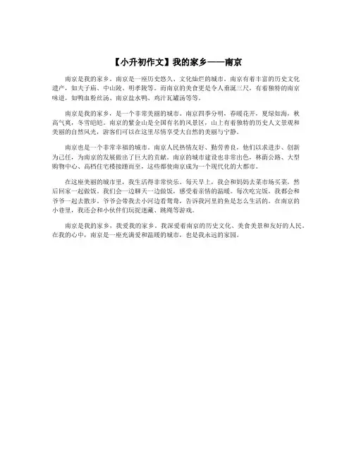 【小升初作文】我的家乡——南京