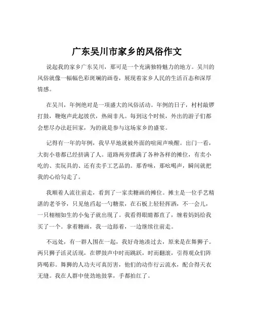 广东吴川市家乡的风俗作文