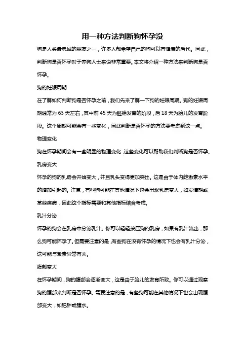 用一种方法判断狗怀孕没