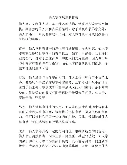 仙人掌的功效和作用