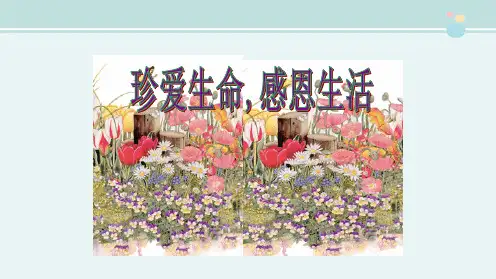 主题班会《珍爱生命》 完整课件PPT