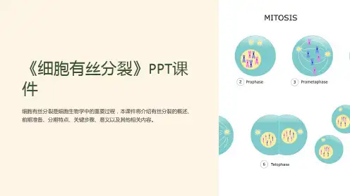 《细胞有丝分裂》课件