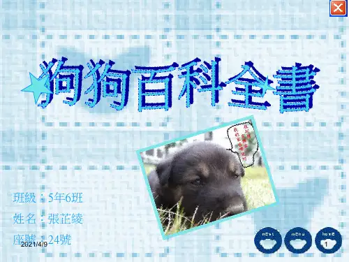 狗狗百科全书