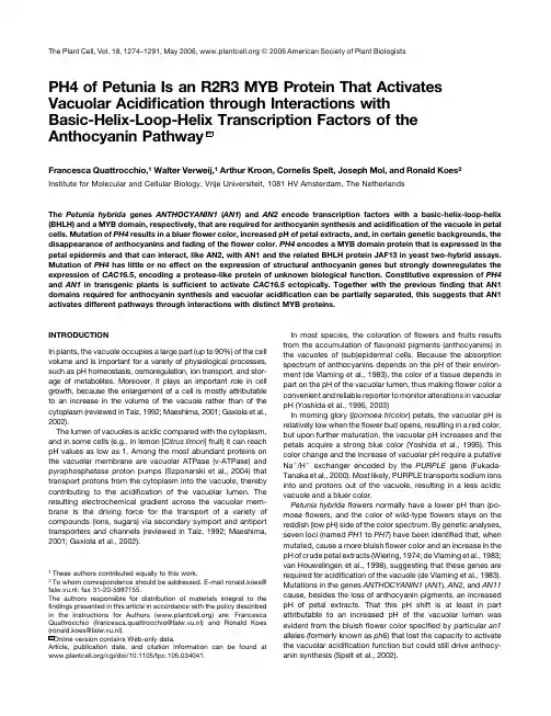PH4 of Petunia Is an R2R3 MYB Protein That Activates