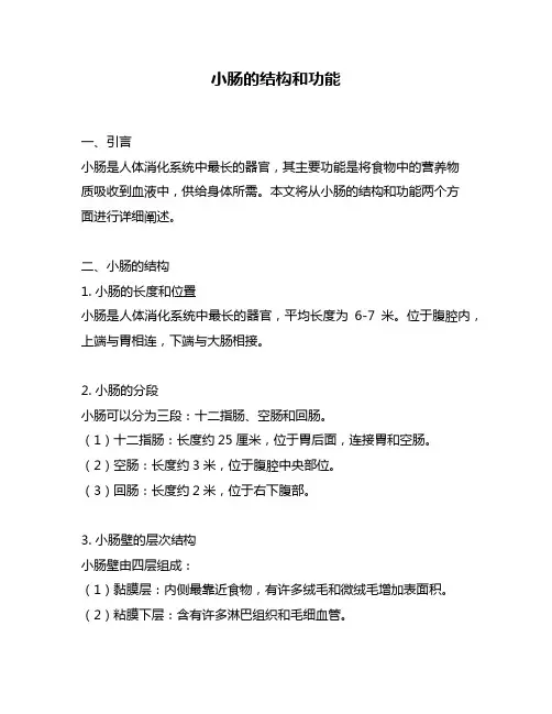 小肠的结构和功能