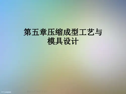 第五章压缩成型工艺与模具设计