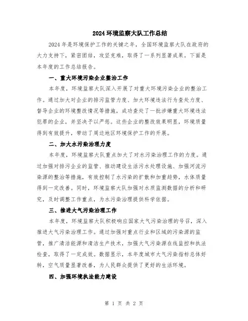 2024环境监察大队工作总结
