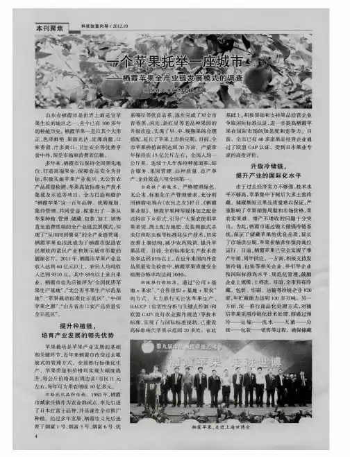 一个苹果托举一座城市——栖霞苹果全产业链发展模式的调查
