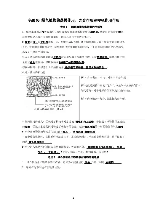 绿色植物的蒸腾作用、光合作用和呼吸作用作用(知识帮)-备战2023年中考生物一轮复习考点帮