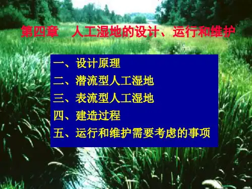 第四章  人工湿地的设计、运行和维护