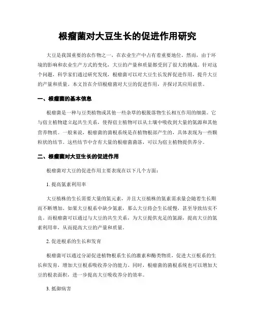 根瘤菌对大豆生长的促进作用研究