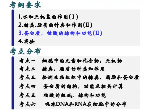 3.蛋白质和核酸(共76张PPT)