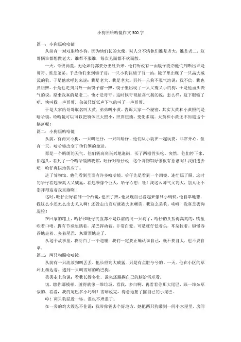 小狗照哈哈镜作文300字优秀作文