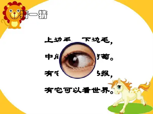 《保护眼睛》课件(幼儿园小班健康)
