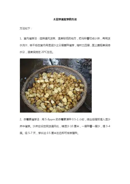 土豆快速发芽的方法