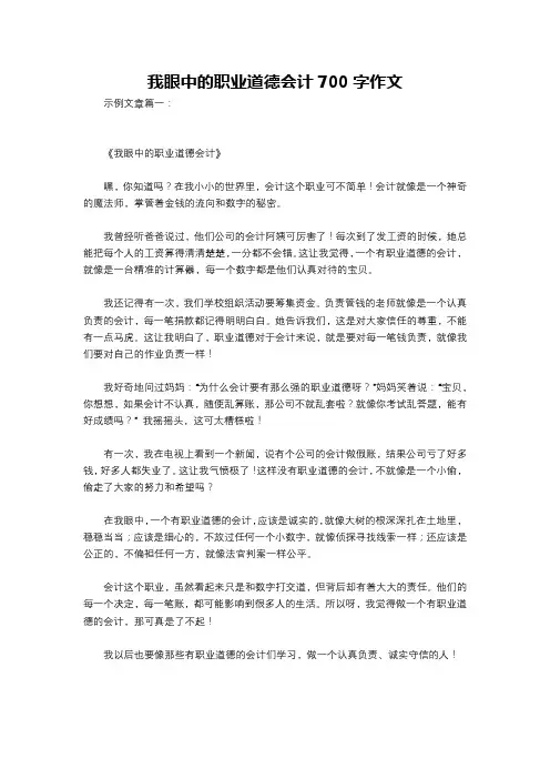 我眼中的职业道德会计700字作文