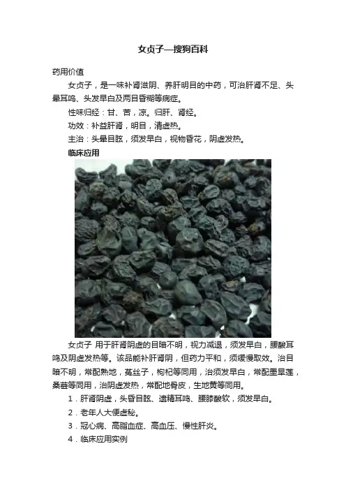 女贞子—搜狗百科