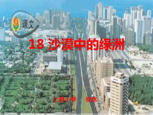 91沙漠中的绿洲1PPT课件