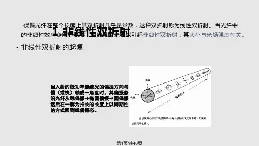 非线性光纤光学-第六章-偏振效应PPT课件
