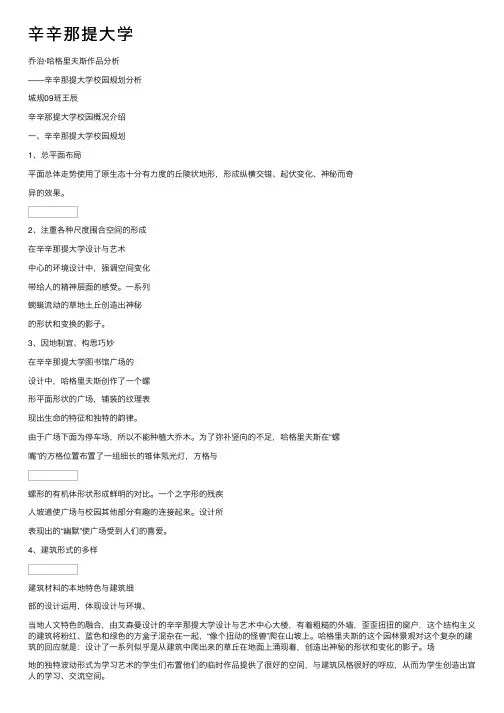 辛辛那提大学
