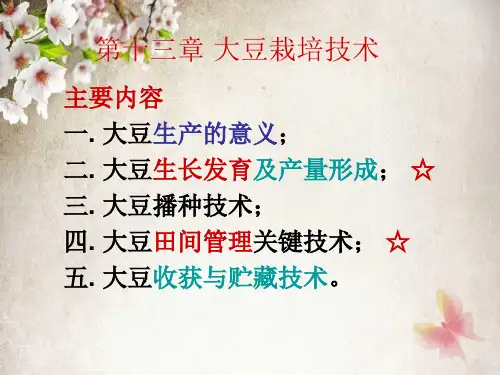 大豆栽培技术(课堂PPT)