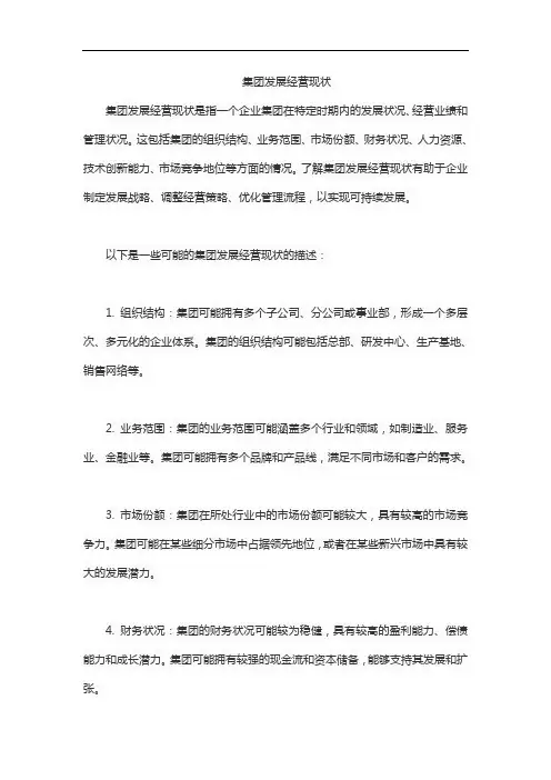 集团发展经营现状