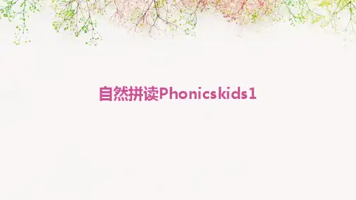 自然拼读Phonicskids1