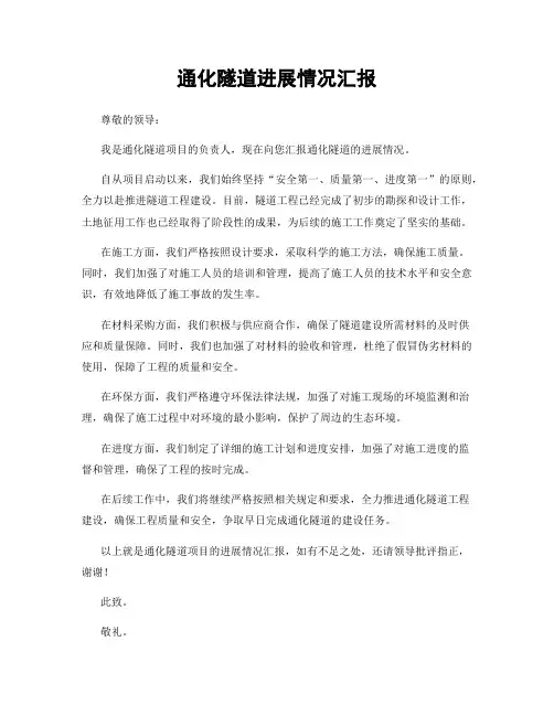 通化隧道进展情况汇报