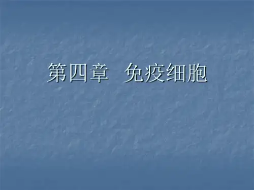 免疫学课件：免疫细胞