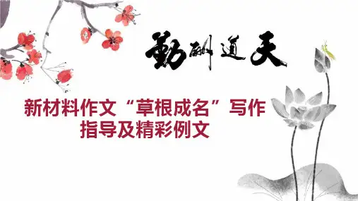 新材料作文“草根成名”写作指导及精彩例文