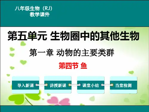 2022年人教版生物《第四节  鱼 》精品课件