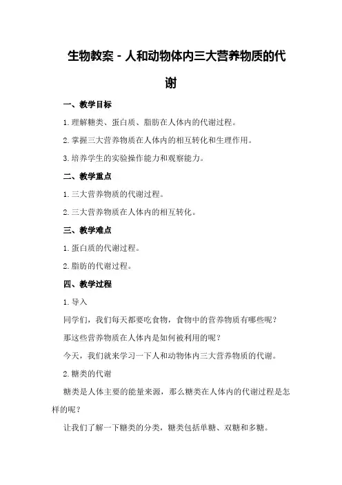 生物教案-人和动物体内三大营养物质的代谢