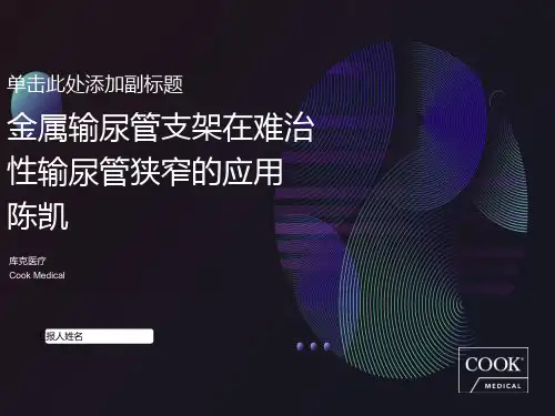 金属支架在难治性输尿管狭窄的应用