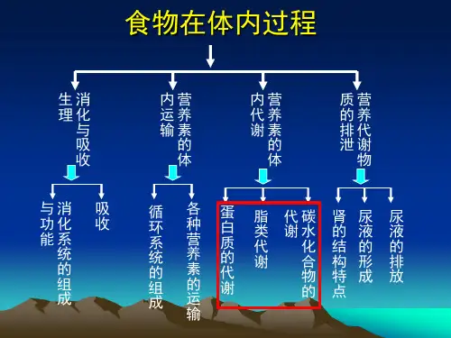胰淀粉酶胰脂肪酶胰蛋白酶