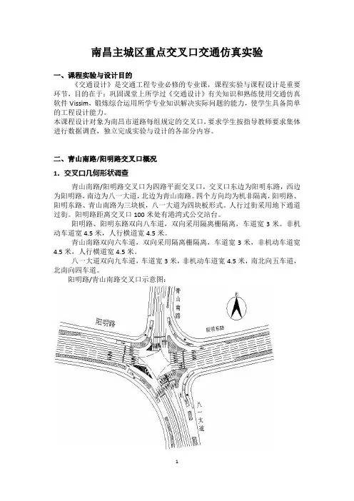 试验报告
