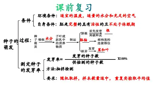 济南版生物七年级上册4.1.6芽的类型和发育(课件)