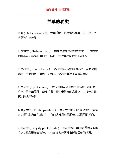 兰草的种类