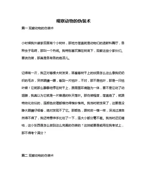 作文《观察动物的伪装术》