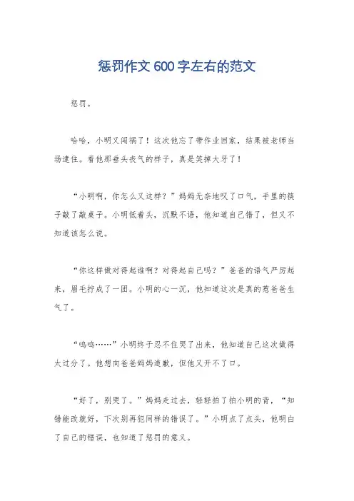 惩罚作文600字左右的范文