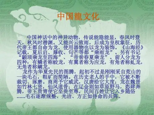 中国龙文化